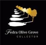 Fedra Olive Grove